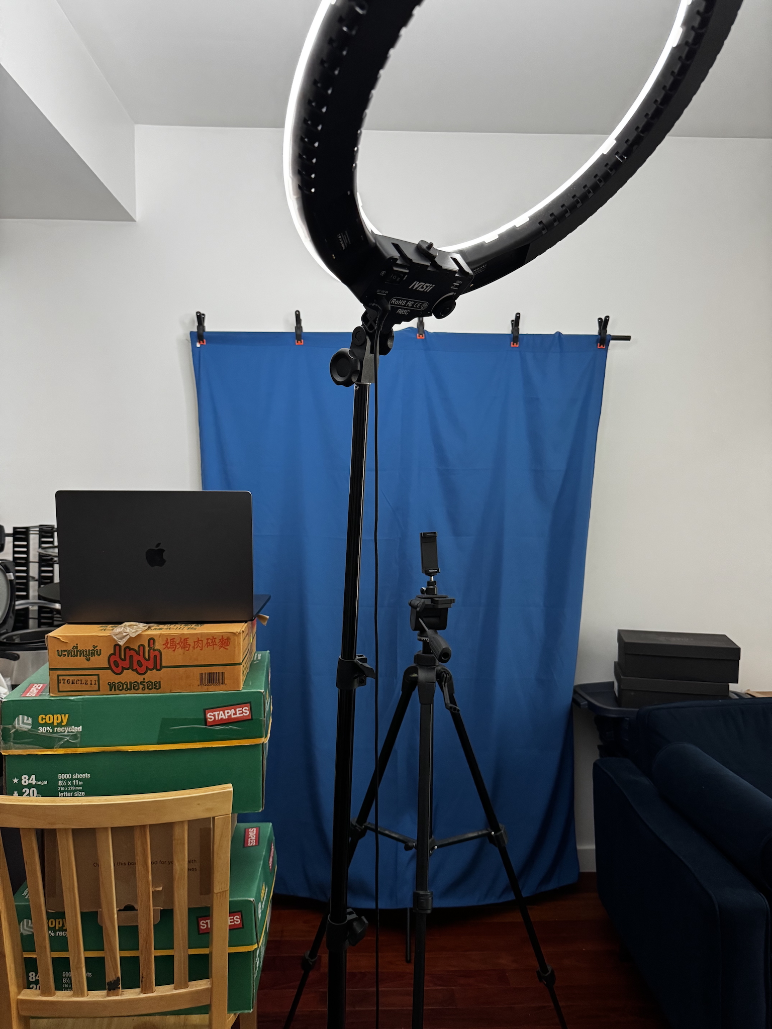 My self tape audition set up with a tripod, lighting, backdrop and laptop for reader